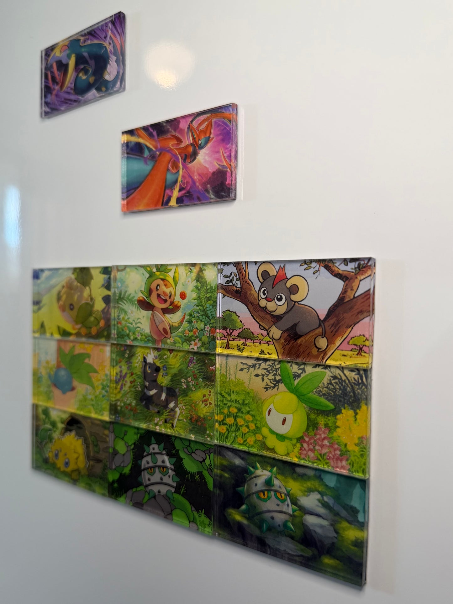 TCG Pro Collection - Acrylic Magnet Kit