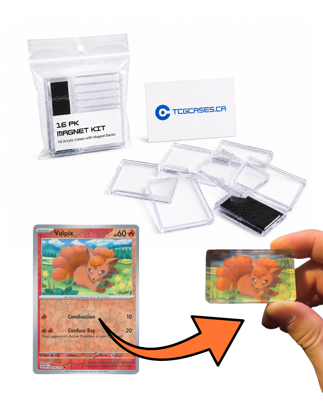 TCG Pro Collection - Magnet Kit